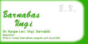 barnabas ungi business card